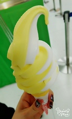 添付画像