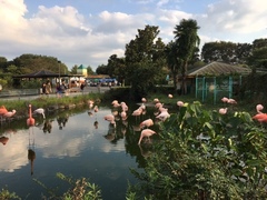 image6.JPG