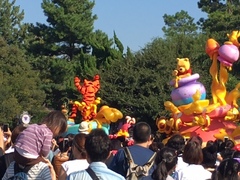 image7.JPG