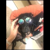 00ed5082fff5cf635d001f8041c38040