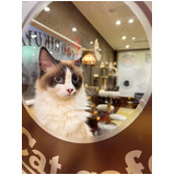 020f3b1d604462ba57db8896dfc57cf6