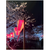 07a8f29b0d0d10fd40cdadb66f952739