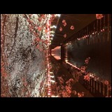 08d41db58d772f60602ea3247903fb35