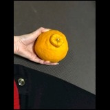 090f4b739400fa398b60edd8528ea695