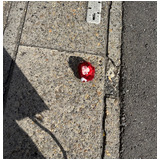 10a00bd0fc2c64ed025be12e29d449e2