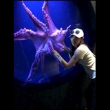 1657817f064a50b179355d3423957276