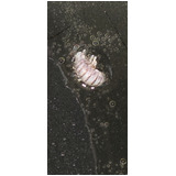 1a5887f7aa54f5fa47a05d6223c74dd3