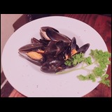 23fed1b166e83881cc2b31dc5e43f5af