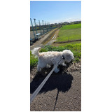 245b2e034c5c86a7a2b5482aa07f9225