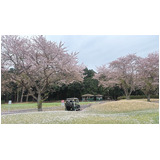 247860b2f682a010705685524dc73bf4