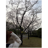 2af295a6e11bfc2504af80ba5c11b2a3