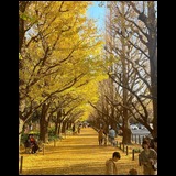 2b9445a7ca4d8d2102751eabb1b36ae6