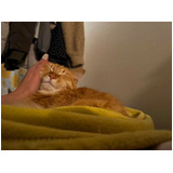 2bca02d29f5f752bd20f7d53fcc3c60d