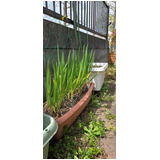 31d7f71711afea4067e41329bd46d7fa