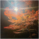 34368c2d3d8fe7bcb2ad57caabbfdd46