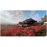 379676b06869e61bfaba0d02118caee9