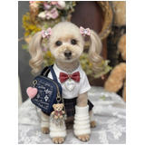 3d49c5e44d1b8e471ced16b94790d6dc