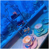 40a8f1d669f6dca381c9bca8a963464f