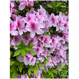 44a8821334d0e8ee6121a39ae0062d71