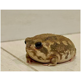 49440957c1c2acf4a1b3eb92e9bfce76