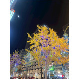 49805dcaf02dc7d4a6e3074d26ce7763