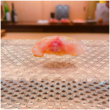 4e8ad5c3c1510e8beefedcf4f5922e81