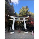 524c49e612fd5aca794e58eedb5b44b6