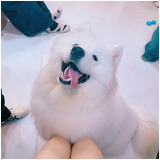 5508624106773558dc5d964c4030675f