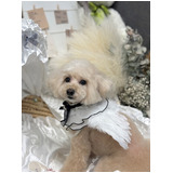 6416ffe9d024a1a5eb06f59236737e3b