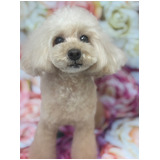 6f5763d02d10021d4e8ba70fe07f3ea8