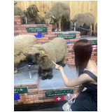 715e80509749077f0e3bcb58da4fcdbd