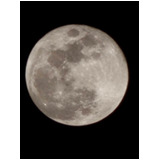 7958217e7e082a6303de4d1f94b5af2f