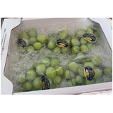 7c16b8a5825d2dee66e15d8d466a7914