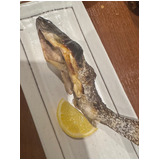 7c2f1f26e4be2d3c00b2313facdb8a4a