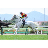 803e86f9d4c77b5a7811501c561ed068