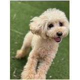 80ab0ef89026f2d5e2e157e28b1374fc