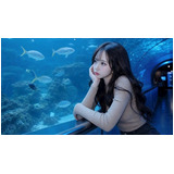 8a6c8fae178b82e5004a370fd8b6eac8