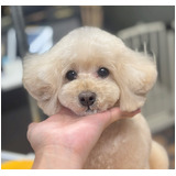 914a7fb23ce841e1279b3390e27d8ea9