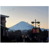 9a617c3c4bd490e11ddd1add41f8874e