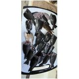 9be7debb8a93648d864130791153ffa1