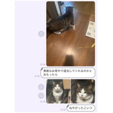 A64df10c23e75027ba4fc8f1a4f3b46a