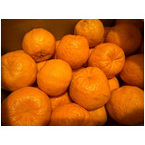 Ac49d91834b2a969ad0a37f4b9aaa163