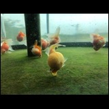 B08f8082c640a716e45bb971edc9f06f