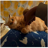 Cf96c555126d2823c20e3c90d4f32b24