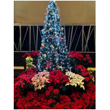 D5056cd69a134a3ee2fe2a7228340fe9