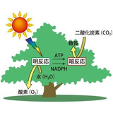 Db5d3d8ff11f20871d9a48a27a8ead65