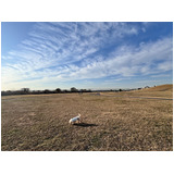 De44dad744a49e67a979845e7f7c2010