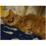 E38b7178a93e017e16270208fb789709