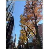 E39c0132f0751a44f6e6341ab9df92e3