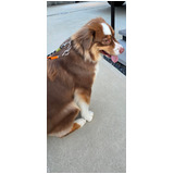 E73a4099da971c68c6556f2a31592f6b